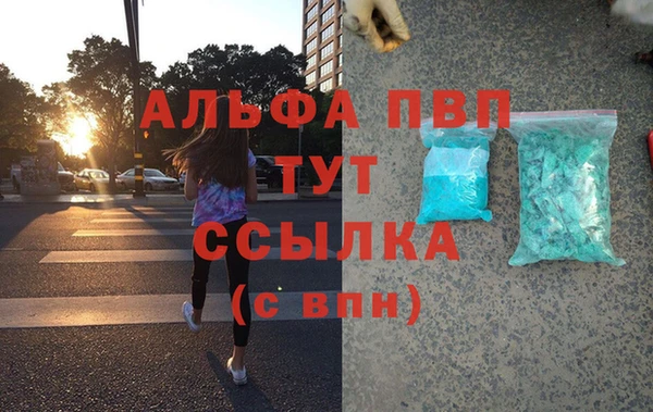 сатива Абинск
