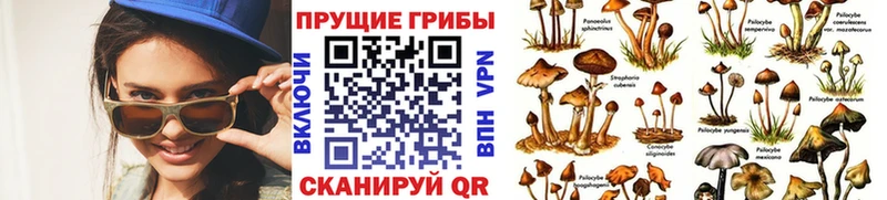 купить закладку  Лабытнанги  OMG   Псилоцибиновые грибы мухоморы 